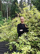 Помощник координатора по СВО